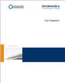 Lean Integration White Paper